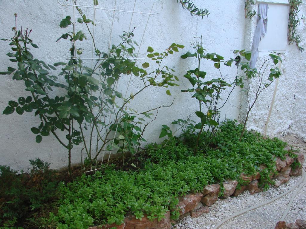 Apartman Restovic Bol Buitenkant foto