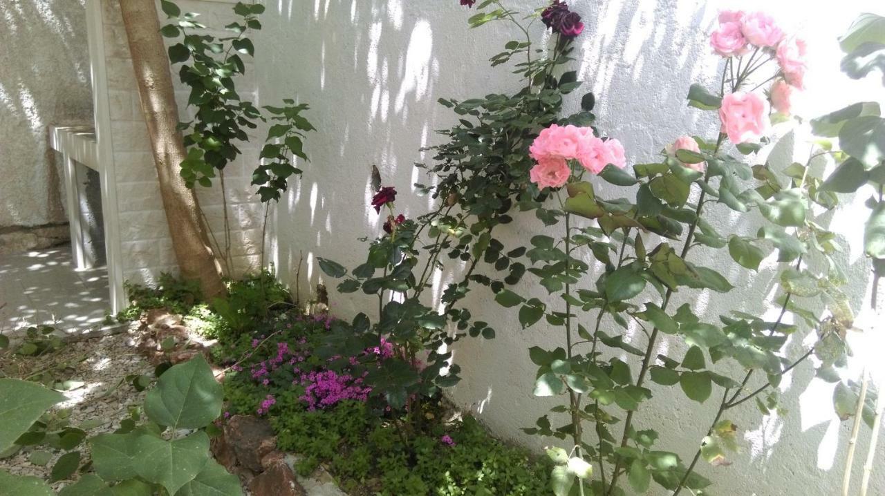 Apartman Restovic Bol Buitenkant foto