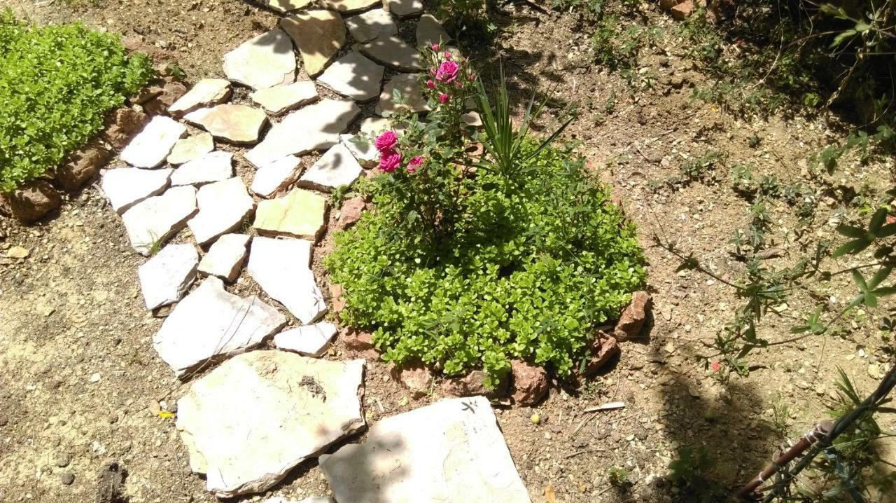 Apartman Restovic Bol Buitenkant foto
